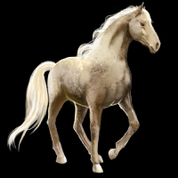 Měsíc